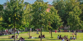 wiosna, bydgoszcz, fot. Exbee